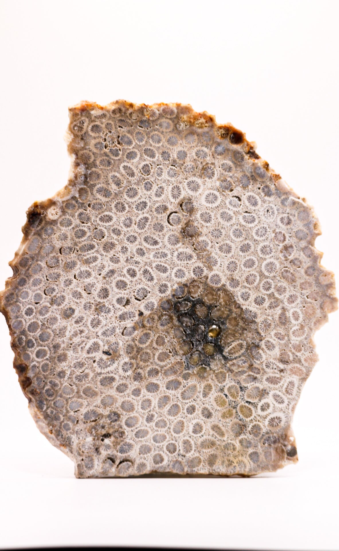 Coral jasper slab